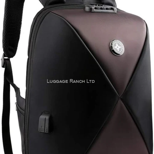 Biaowang Anti-Theft backpack-brown